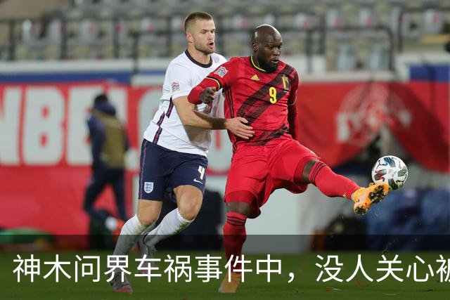 神木问界车祸事件中，没人关心被烧死的那个人
